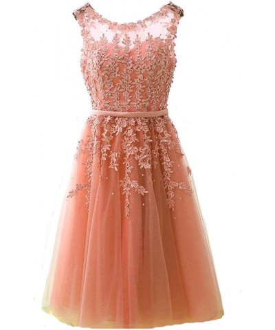 Sheer Bateau Tea Length Short Lace Pearls Prom Homecoming Party Dresses Peach $37.80 Dresses