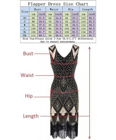 Women's 1920s Gatsby Inspired Sequin Beads Long Fringe Flapper Dress w/Accessories Set Style02-black&silver $22.51 Others