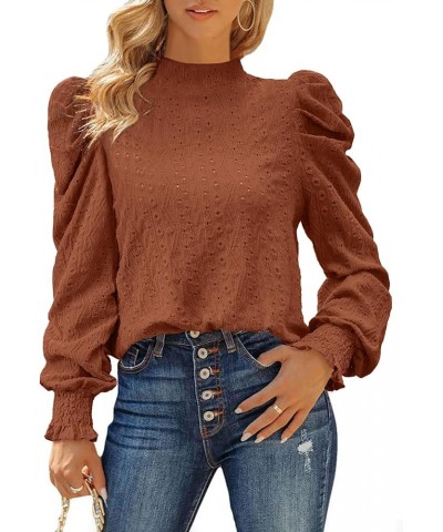 Womens 2024 Puff Long Sleeve Mock Neck Casual Shirts Solid Eyelet Embroidery Tops Blouses Pullover Keyhole Back Tee Brown $8....