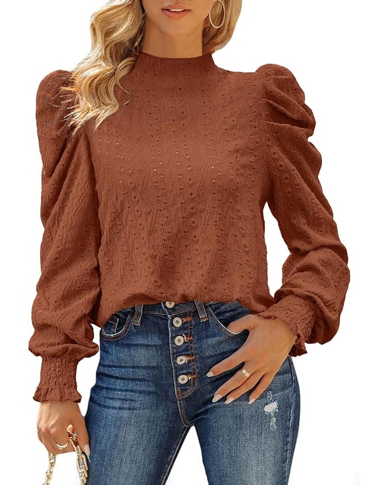 Womens 2024 Puff Long Sleeve Mock Neck Casual Shirts Solid Eyelet Embroidery Tops Blouses Pullover Keyhole Back Tee Brown $8....