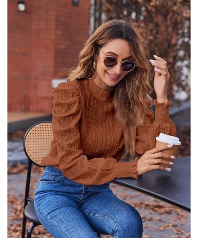 Womens 2024 Puff Long Sleeve Mock Neck Casual Shirts Solid Eyelet Embroidery Tops Blouses Pullover Keyhole Back Tee Brown $8....