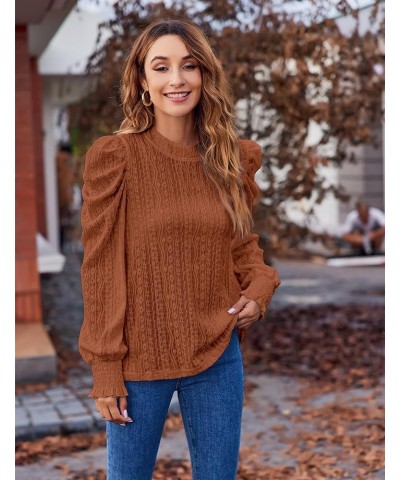 Womens 2024 Puff Long Sleeve Mock Neck Casual Shirts Solid Eyelet Embroidery Tops Blouses Pullover Keyhole Back Tee Brown $8....