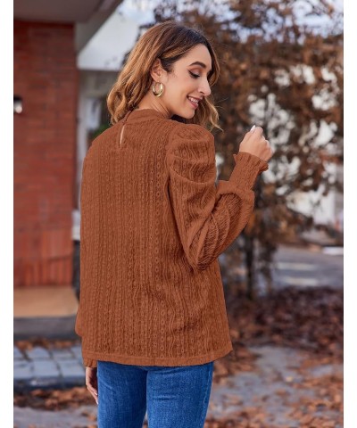 Womens 2024 Puff Long Sleeve Mock Neck Casual Shirts Solid Eyelet Embroidery Tops Blouses Pullover Keyhole Back Tee Brown $8....