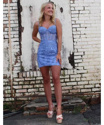 Short Lace Applique Homecoming Dresses for Teens Spaghetti Strap Tight Corset Prom Dress Silver $40.50 Dresses